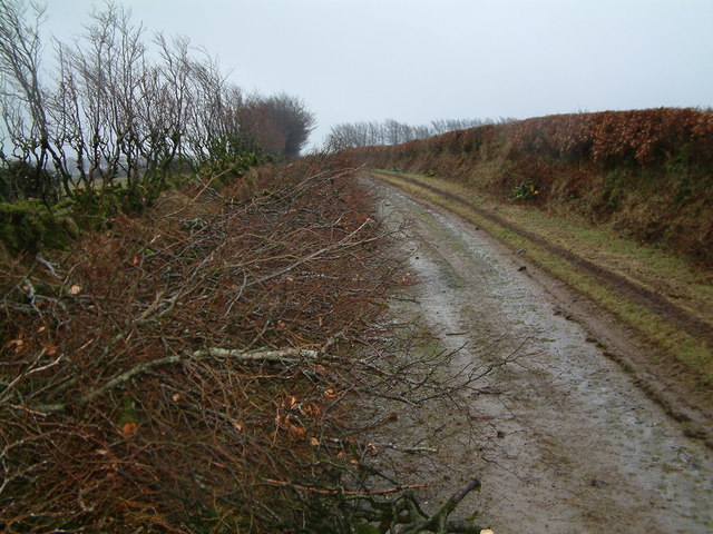 Hedge cutting